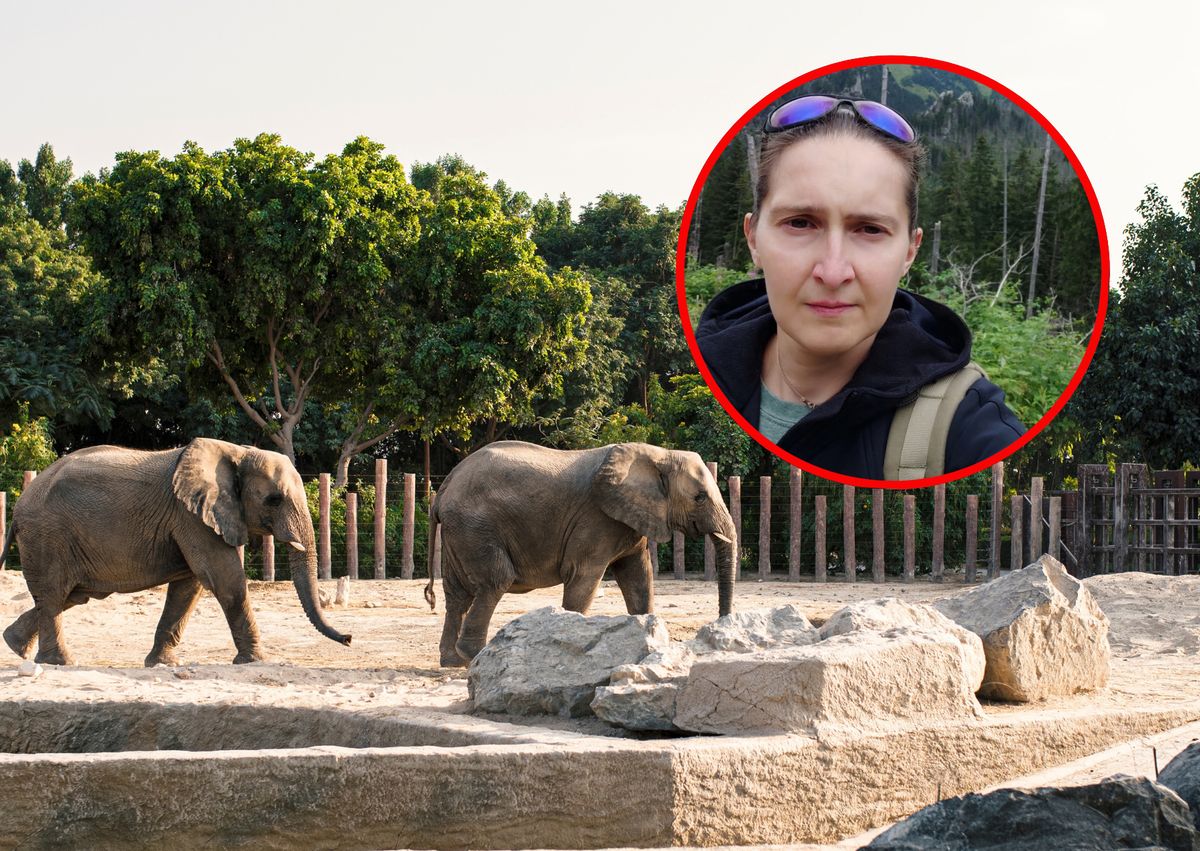 Warsaw zoo seeks Elephant House worker: caretaker reveals job realities