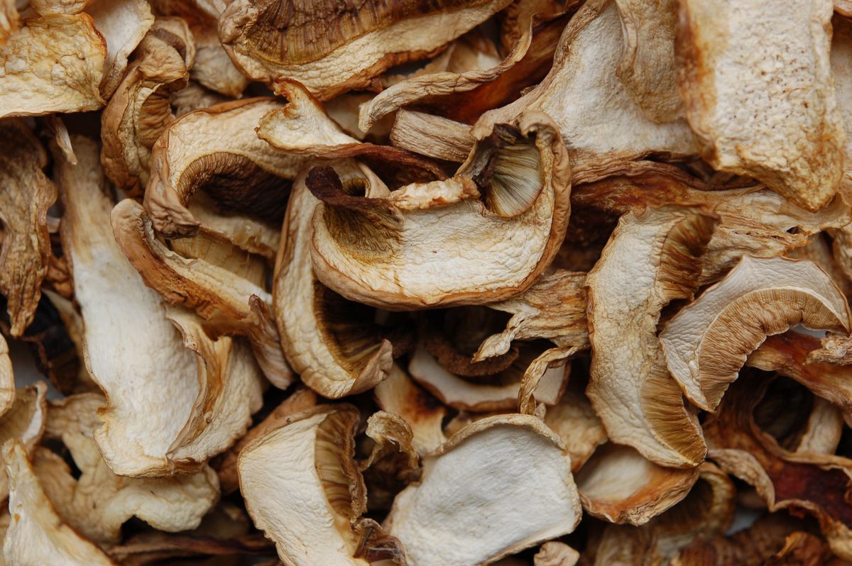 Put mushrooms in the sun before cooking: vitamin D will increase several times