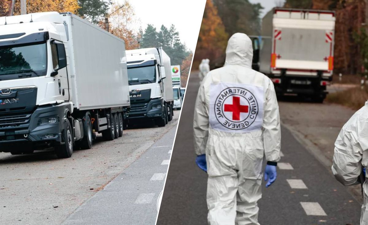 Russia hands over remains of 252 people to Ukraine for identification