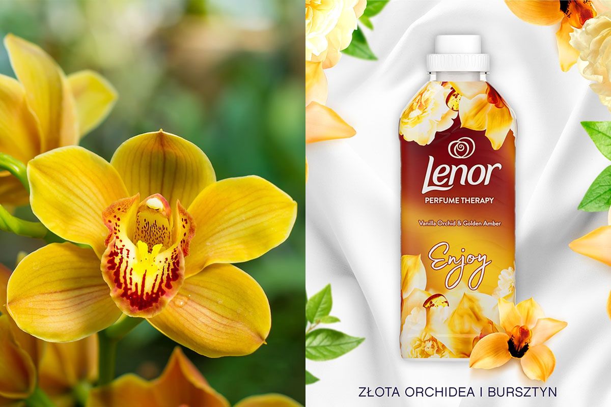 LENOR GOLD ORCHID
