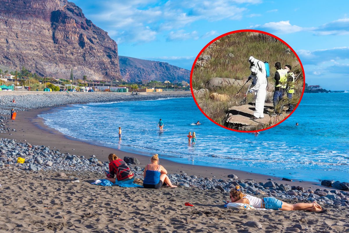 Tiger mosquitoes spotted on Canary Islands in tourist areas