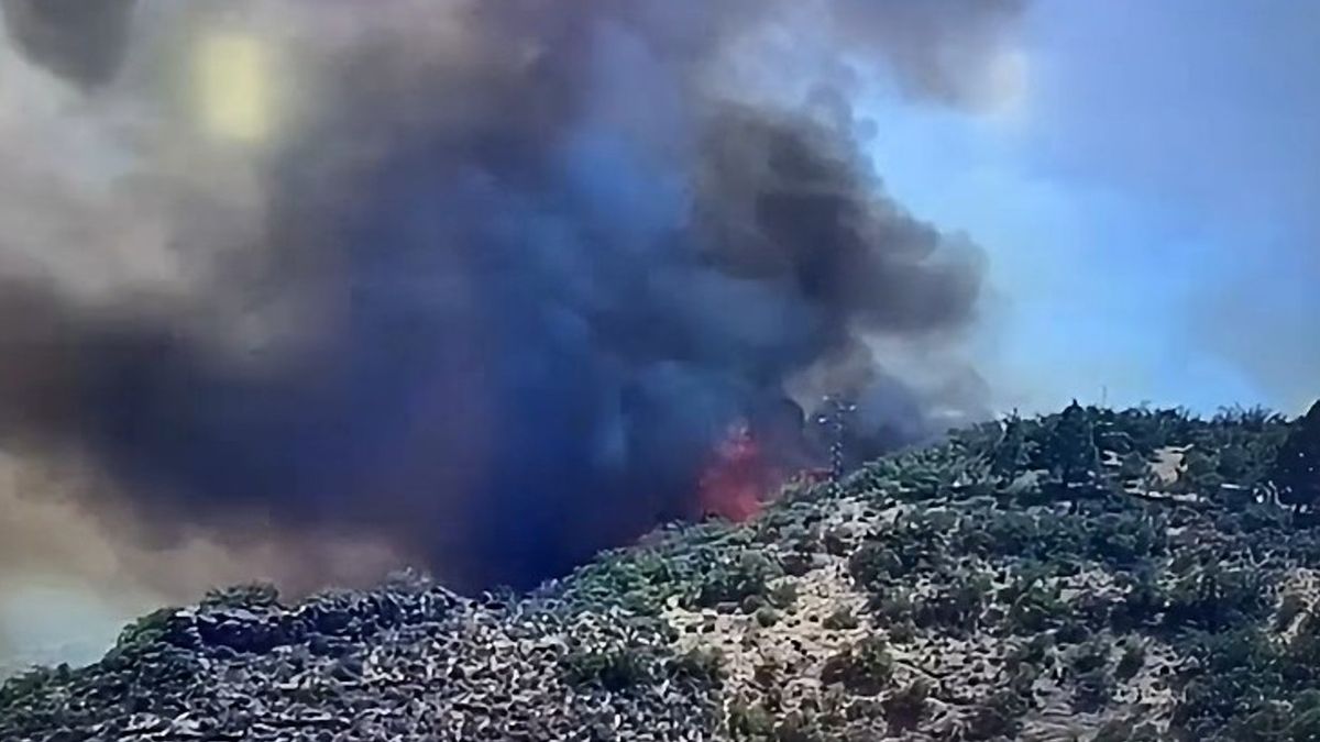 Forest fire near airport in Telde, Gran Canaria