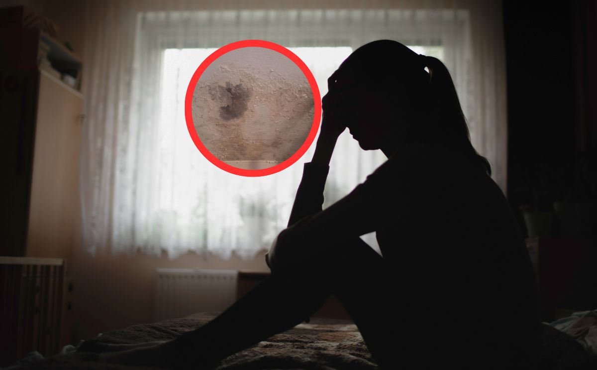 Studenci wynajmują zawilgocone pokoje za wysokie czynsze