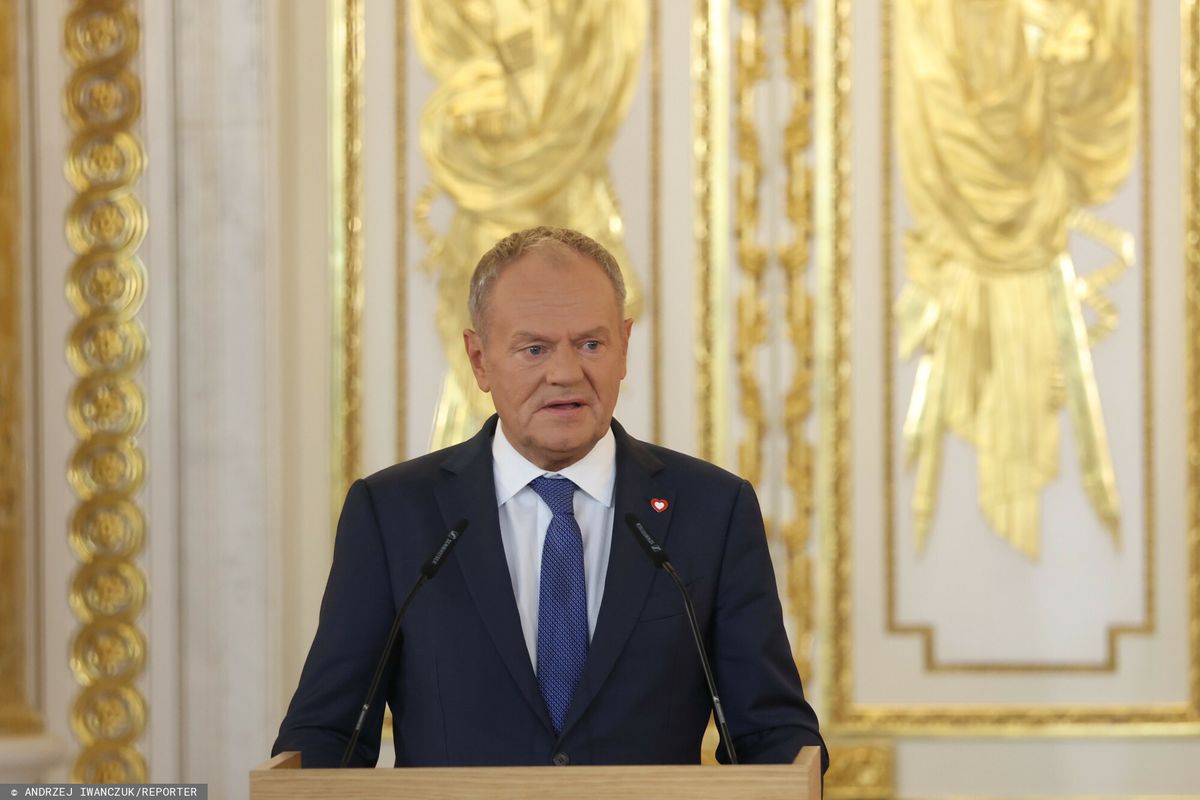 Tusk interweniuje w sprawie wycinki prawie 7 tys. drzew na Warmii i Mazurach