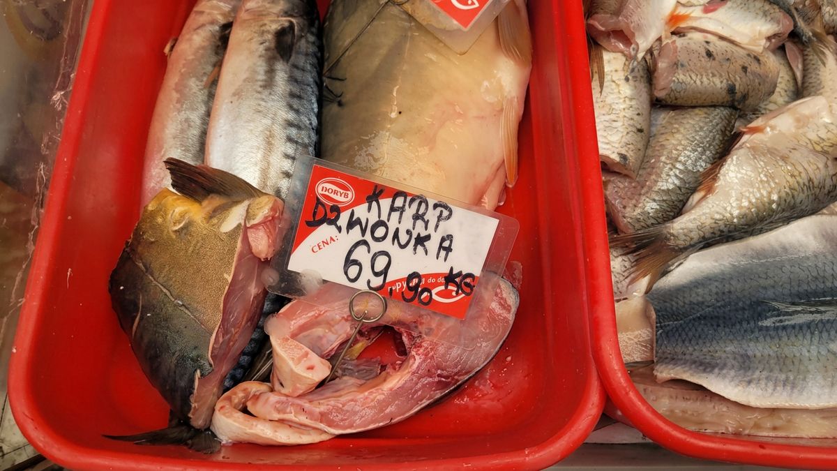 Karp na Wigilię droższy: hodowcy zapowiadają podwyżki po trudnym sezonie