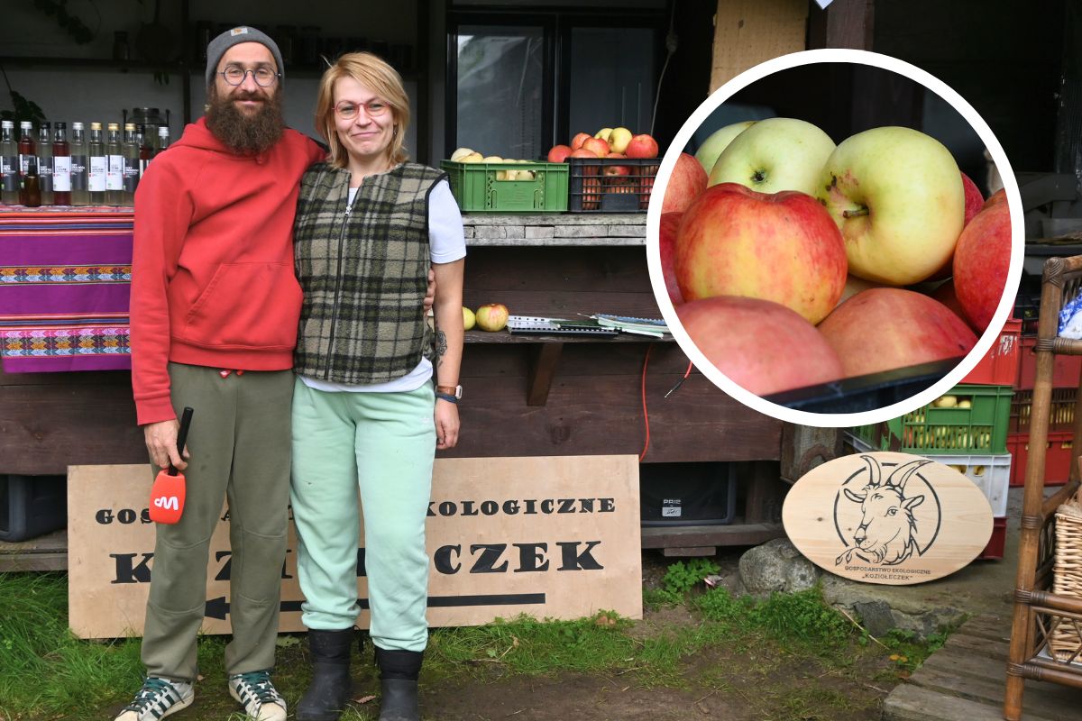 He left the Netherlands, returned to Kashubia: old apple trees and barter instead of cash