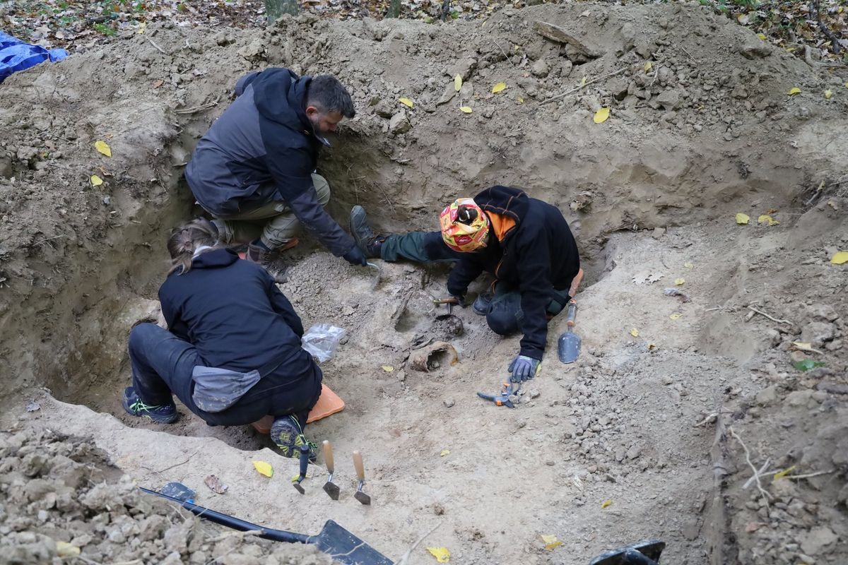 Remains of two Russian soldiers from 1915 found in forest near Przemyśl