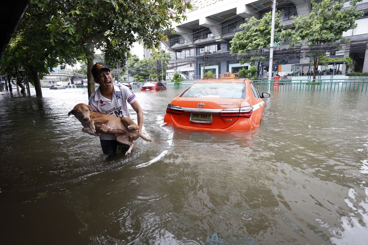 Bangkok tonie w wodzie: ryby na ulicach, domy zalane