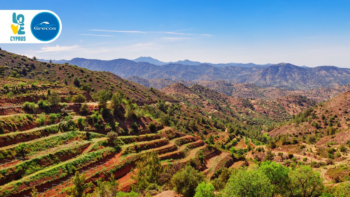 Troodos, góry w drodze do wioski Lefkara