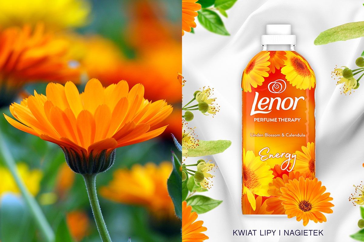 LENOR LINDEN BLOSSOM & CALENDULA