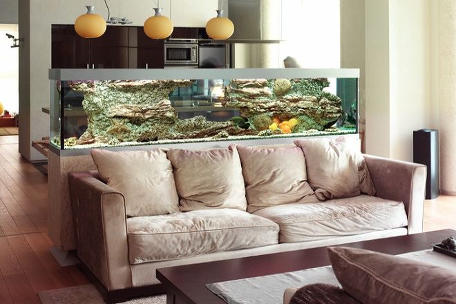 Already atom Supervise Akwarium w domu: żywy obraz i dekoracja wnętrza - WP Dom