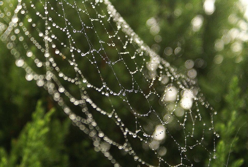 Zjawiska Konwekcji Nie Można Wykorzystać Odróżnisz szadź od rosy? Quiz nie tylko dla meteorologów - o2 - Serce