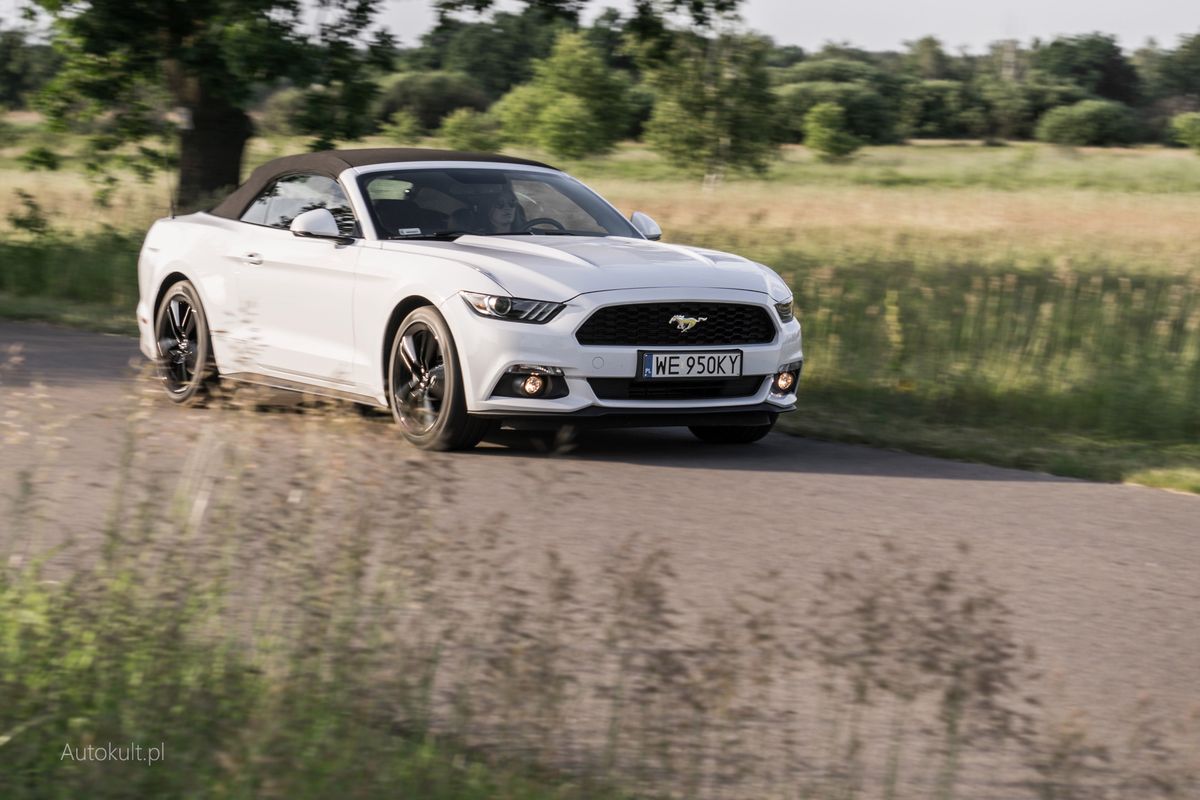 Ford Mustang 2.3 Cabriolet (2015) test, opinia, spalanie