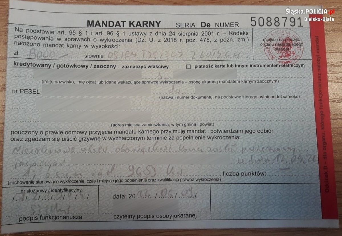 pszczyna-732ab825a1dd34175c74dd6.jpg