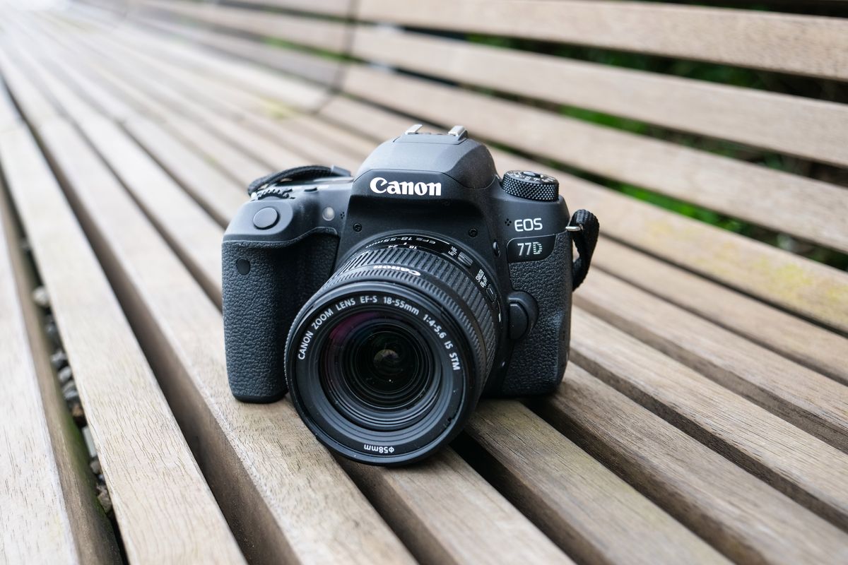 Canon eos 77d примеры фото