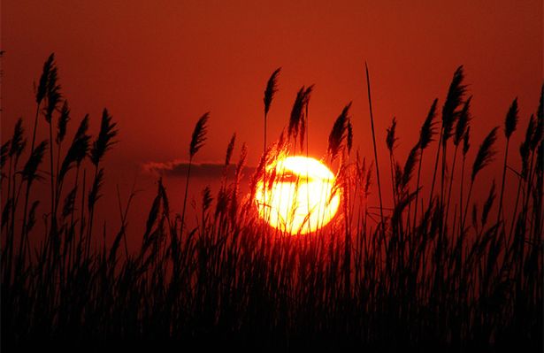 Astronomiczna wiosna już jest, kalendarzowa jutro ...