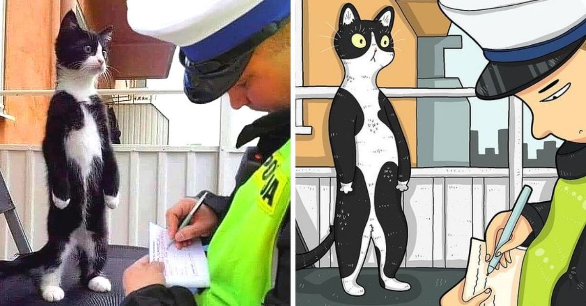 24 Funny Cat Photos Transformed Into Cartoons