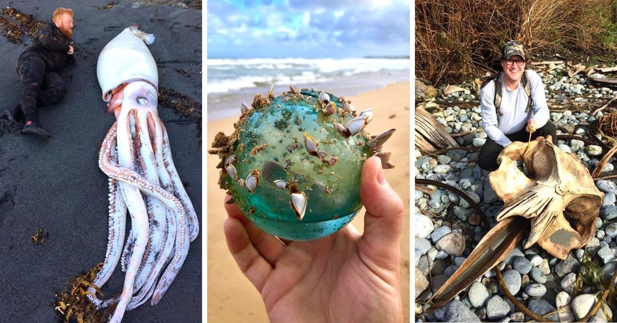 21 Interesting Things People Have Found on Beaches Around the World ...