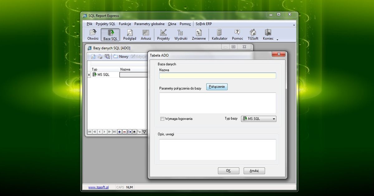 Sql Express Report Viewer SQL Report Express 3.6.00 - dobreprogramy