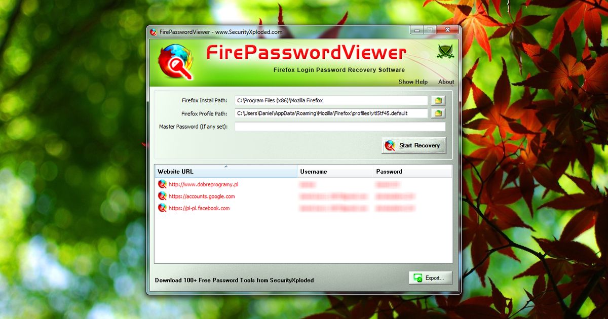 Password Viewrer Firefox Password Viewer 13.0 - dobreprogramy
