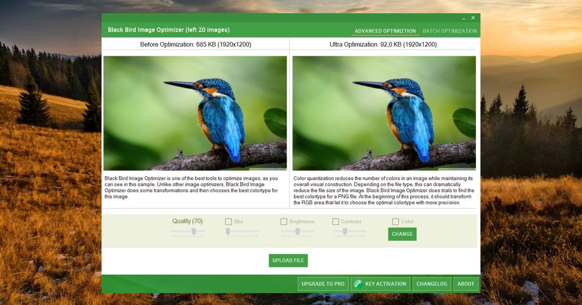 Black Bird Image Optimizer 1.0.3.1 - dobreprogramy
