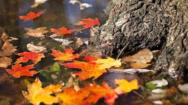 Pogoda na czwarty tydzień listopada 2018