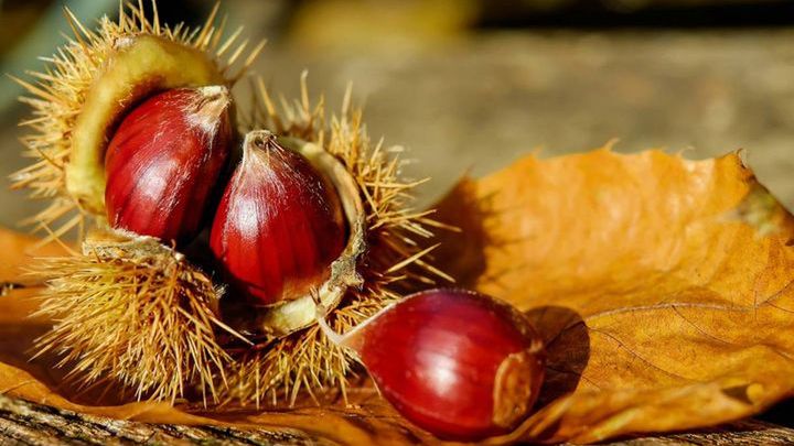 Pogoda na 1 tydzień października 2018