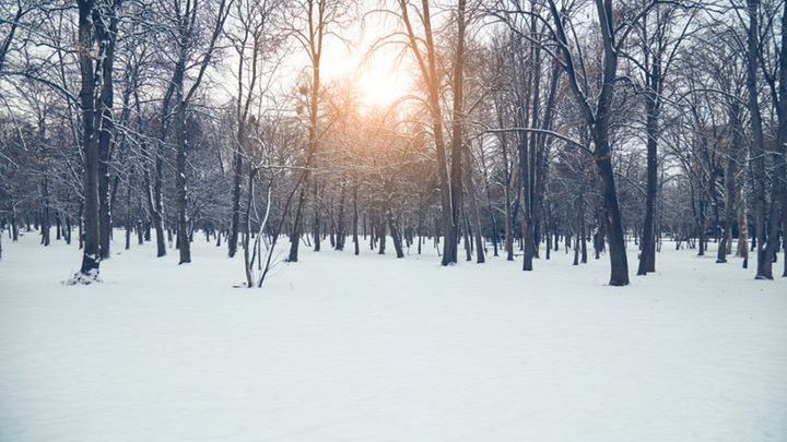 Pogoda na styczeń 2024 w Polsce, w górach, nad morzem