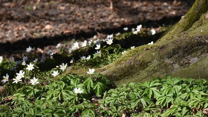 Pogoda na 3 tydzień kwietnia 2018