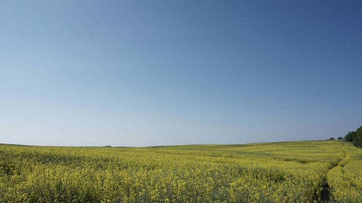 Mazury mniej znane: Jeziorany