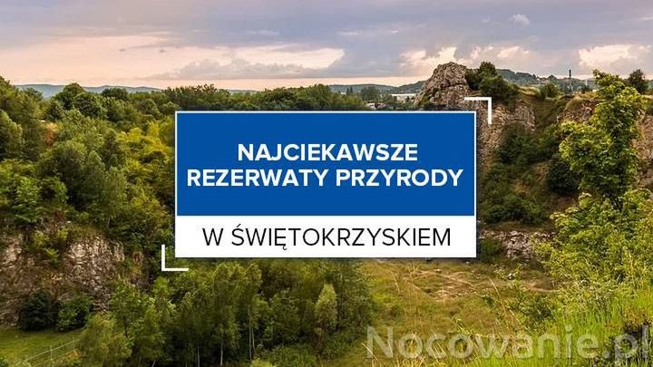 Najciekawsze rezerwaty przyrody w Świętokrzyskiem