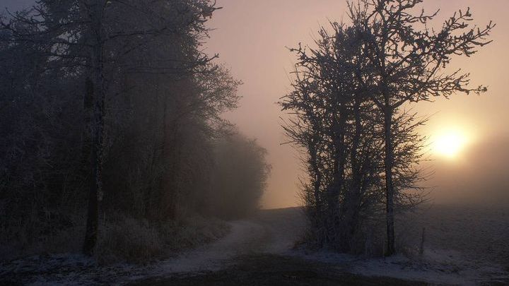 Pogoda na 4 tydzień listopada 2019