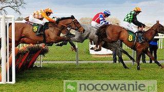 Międzynarodowe Zawody w Skokach CSIO