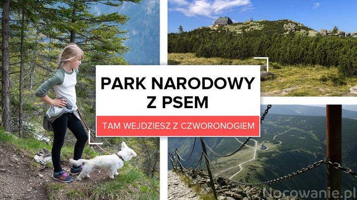 Park narodowy z psem. Tam wejdziesz z czworonogiem