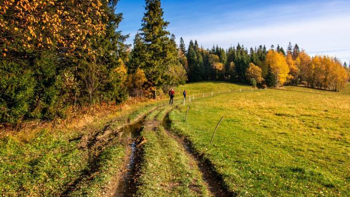 Stare Wierchy - leśna polana, schronisko PTTK i wspaniałe widoki
