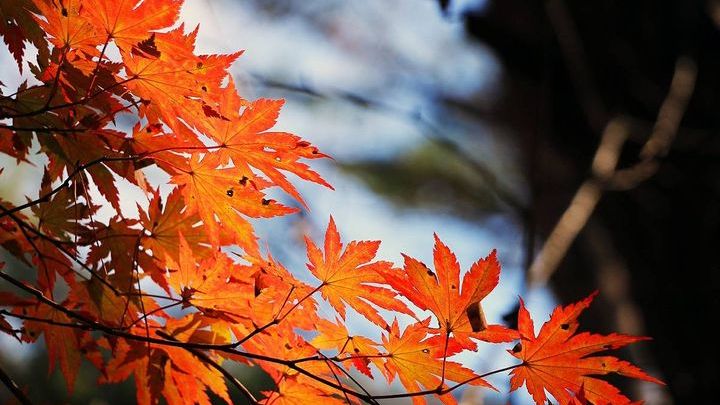 Pogoda na koniec października 2017