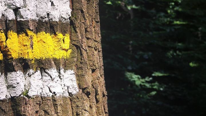 Na szlaku grodzisk pruskich w Tolkmicku