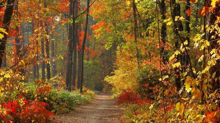 Pogoda na drugi tydzień listopada 2016