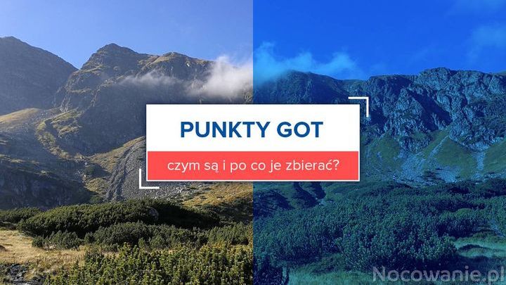 Punkty GOT - czym są i po co je zbierać?