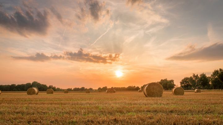 Pogoda na sierpień 2023 w Polsce, w górach, nad morzem
