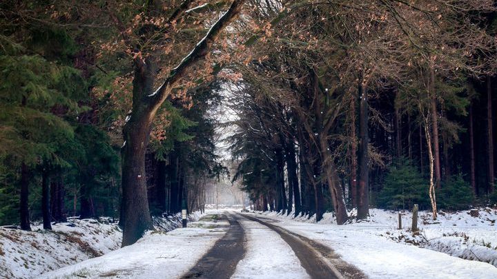 Pogoda na grudzień 2022 w Polsce, w górach, nad morzem