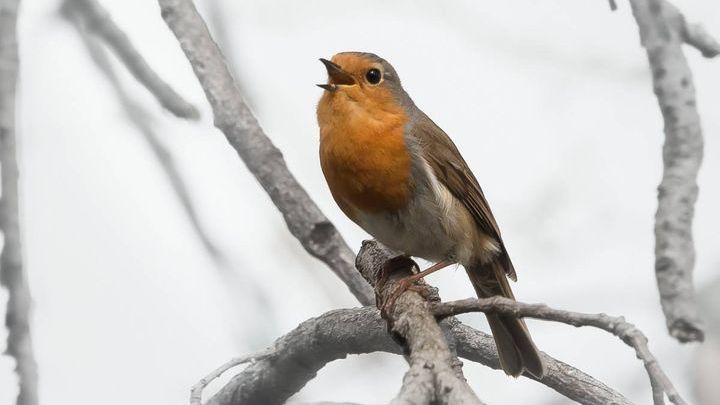 Pogoda na początek kwietnia 2017