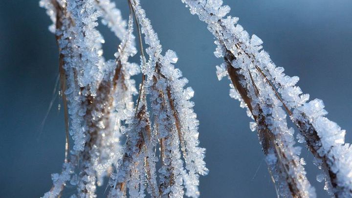 Pogoda na początek stycznia 2018