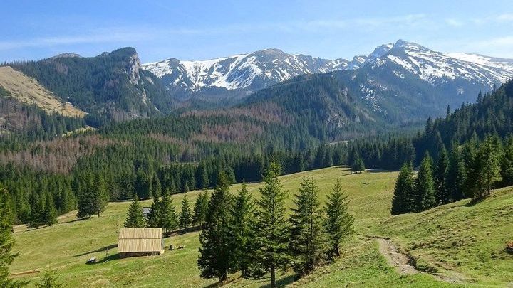 Polana Kalatówki. Spacer Drogą Brata Alberta i atrakcje na trasie