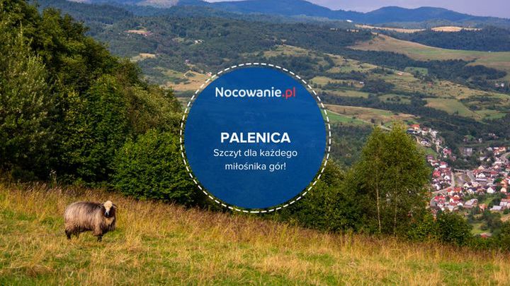 Palenica - szczyt dla każdego miłośnika gór