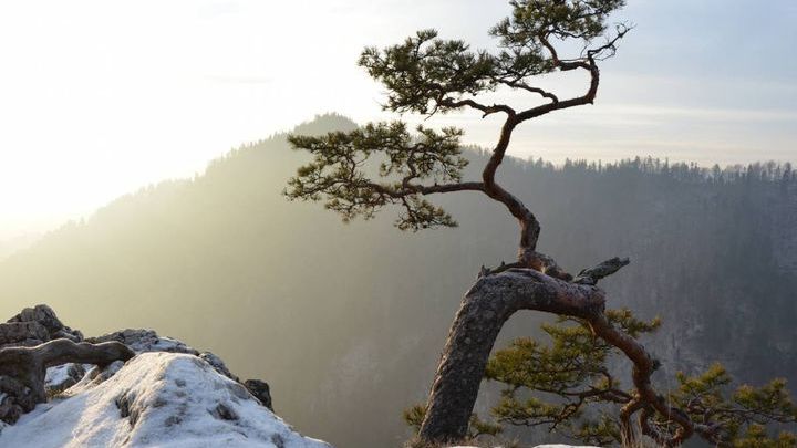 Pogoda na drugą połowę lutego 2016