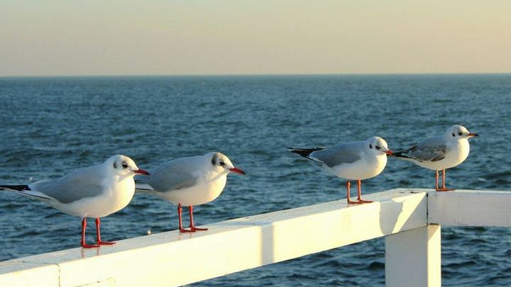 Pogoda nad morzem w kwietniu 2017