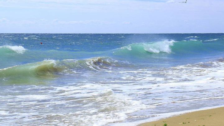 Wymarzone wczasy blisko morza? Poznaj Chłapowo