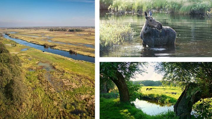 Biebrzański Park Narodowy - Safari na Podlasiu