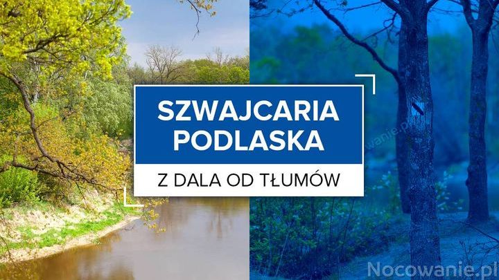 Z dala od tłumów: Szwajcaria Podlaska